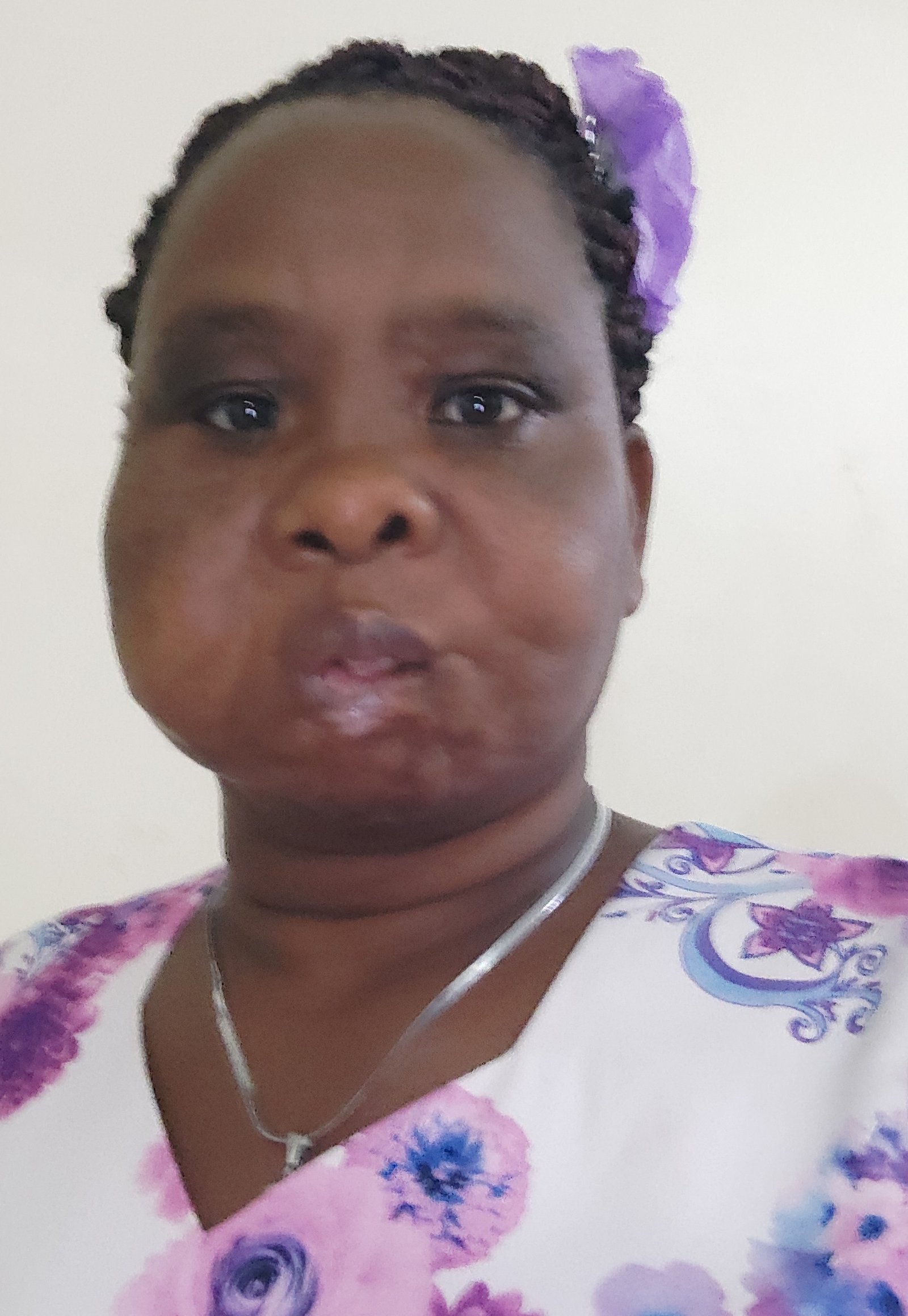 Elosy borona